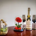 Hm 3* Прешов